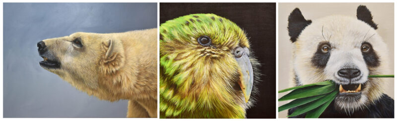 featured-kim-mitchell-aotearoa-artist