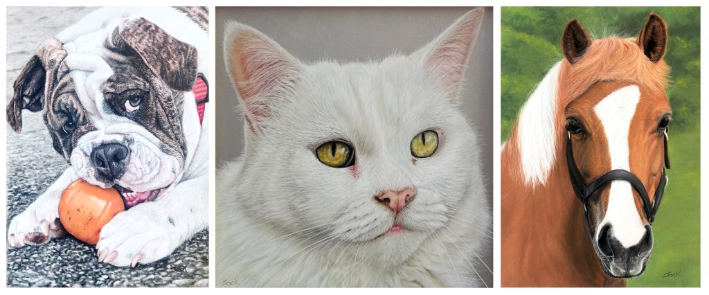 compilation1-jackie-krzyzowski-aotearoa-artist