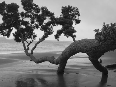 Jonathan Bourla 1 Aotearoa Artist Magazine