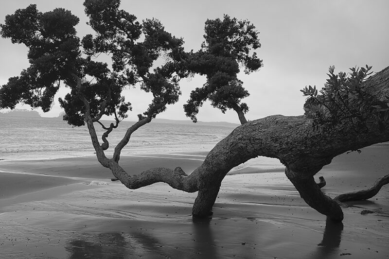 Jonathan Bourla 1 Aotearoa Artist Magazine
