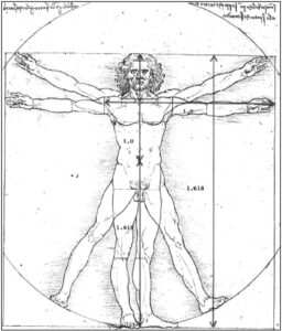 Leonardo-Da Vinci-Golden Section-aotearoa-artist