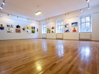 shutterstock_47996965-aotearoa-artist