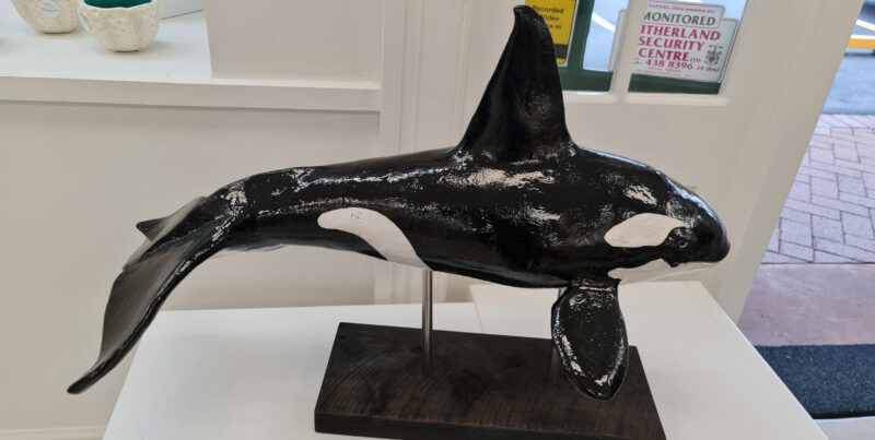 Orca-aotearoa-artist-kristin-kay