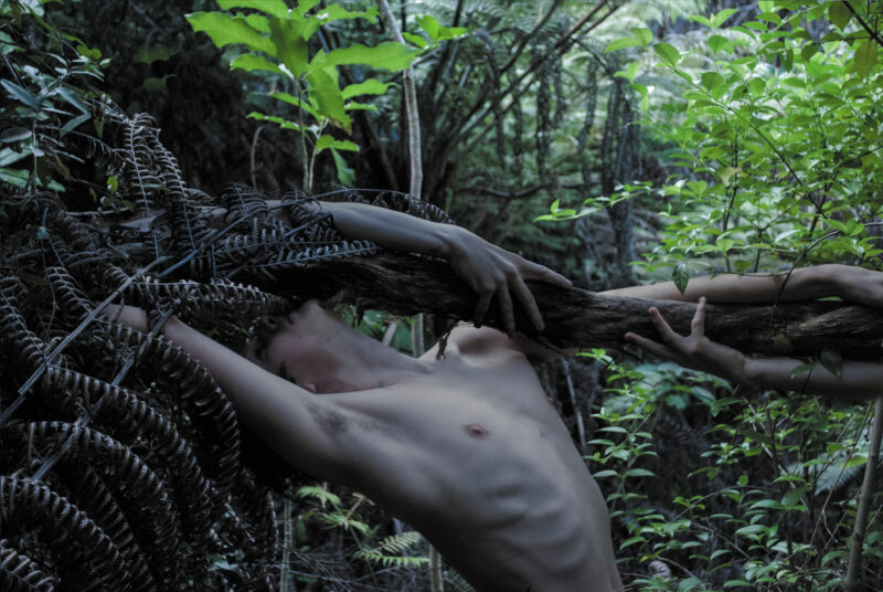 Tree Hands Headless-ross-anderson-aotearoa-artist-project-one-c