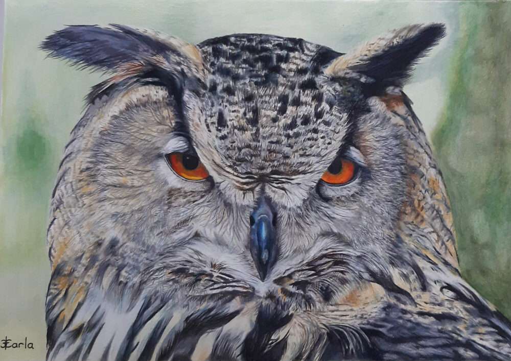 Wise Owl-carla-sclanders-aotearoa-artist