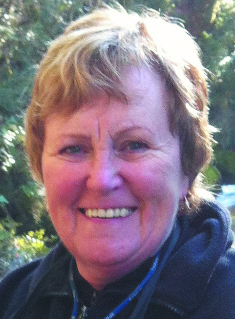 lorna-allan-aotearoa-artist