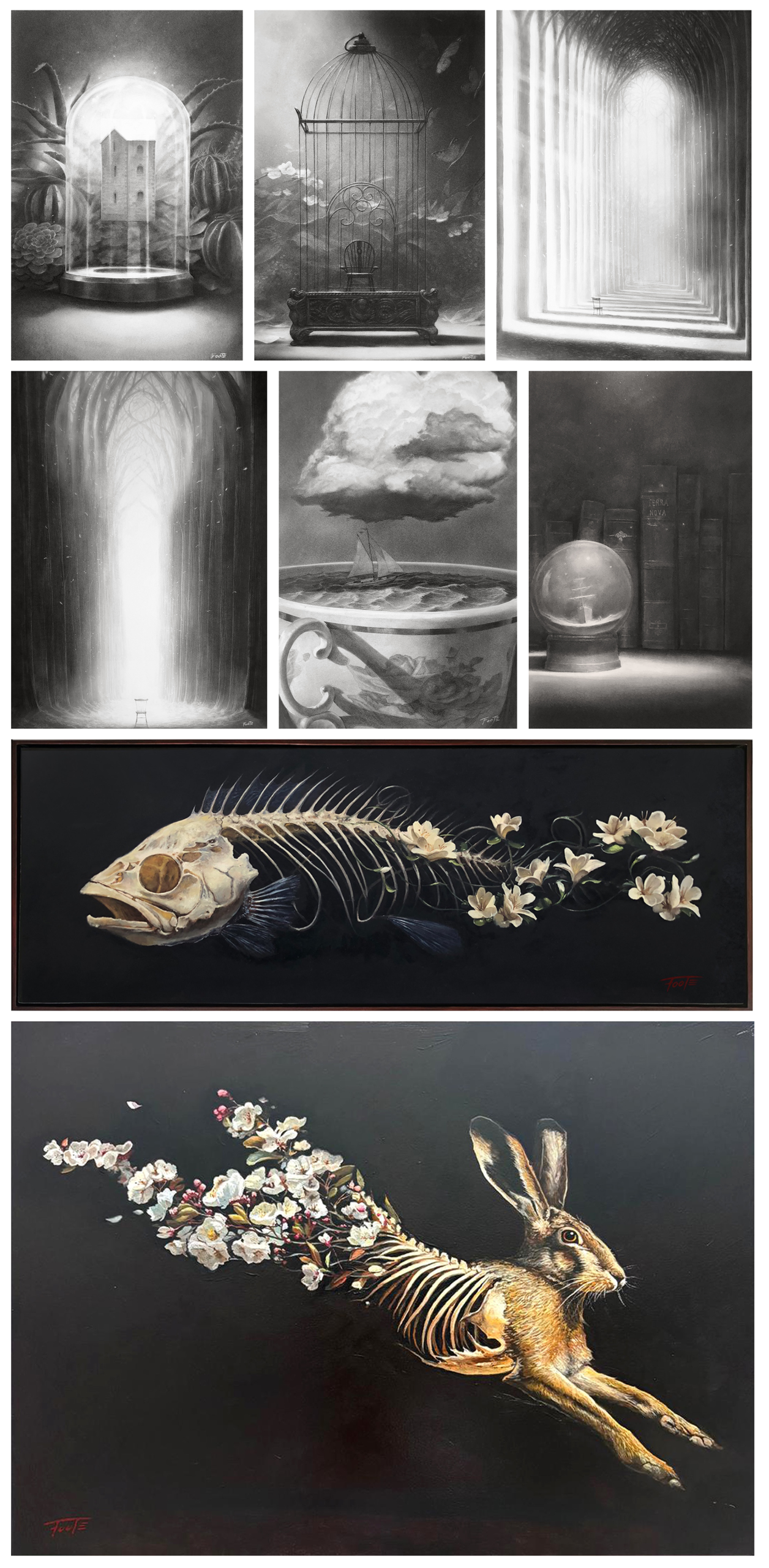 Compilation-rob-foote-aotearoa-artist