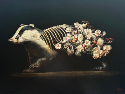 Featured-Burrow-Bloom-rob-foote-aotearoa-artist