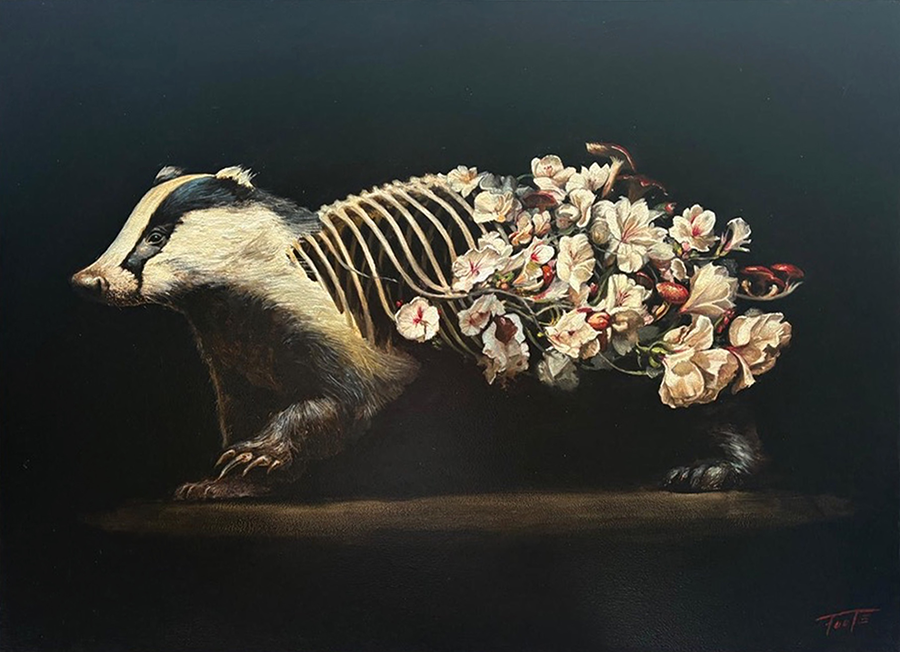 Featured-Burrow-Bloom-rob-foote-aotearoa-artist