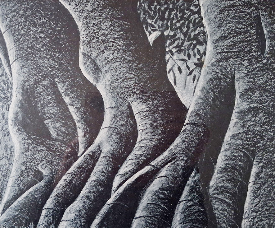 Fig Tree Bole-aotearoa-artist-Bev Smith