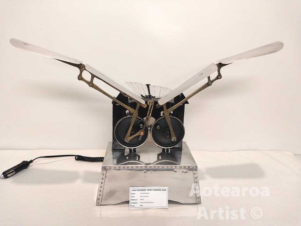 avion-hunter-david-webster-aotearoa-artist