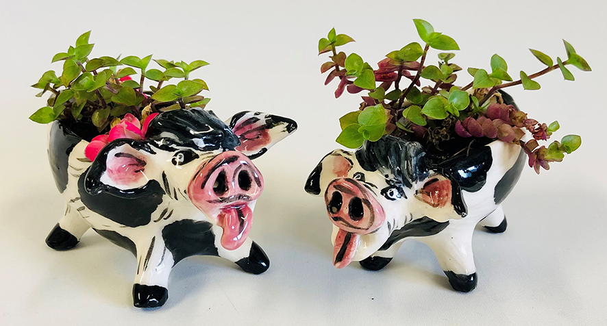 cows-kim-boyd-aotearoa-artist